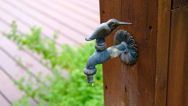 Comment choisir un coq adapté à votre élevage